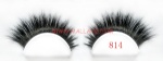 Horse Hair Strip Lashes 814