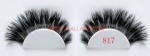 Horse Hair Strip Lashes 817