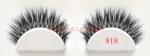 Horse Hair Strip Lashes 818