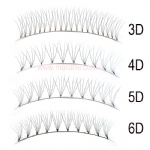 Short Stem Bottom Tape 3D 4D 5D 6D Fan Volume Lash Extensions