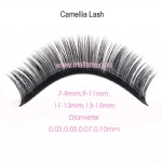 Camellia Lash Extension Volume Lashes Private Label